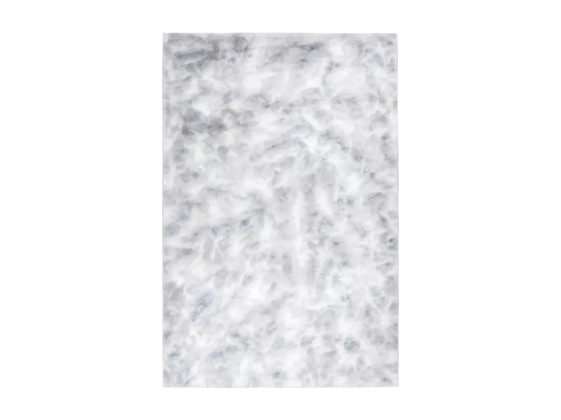 Tapis 170x120cm, design B005O coloris gris - Confort et élégance pour votre intérieur
