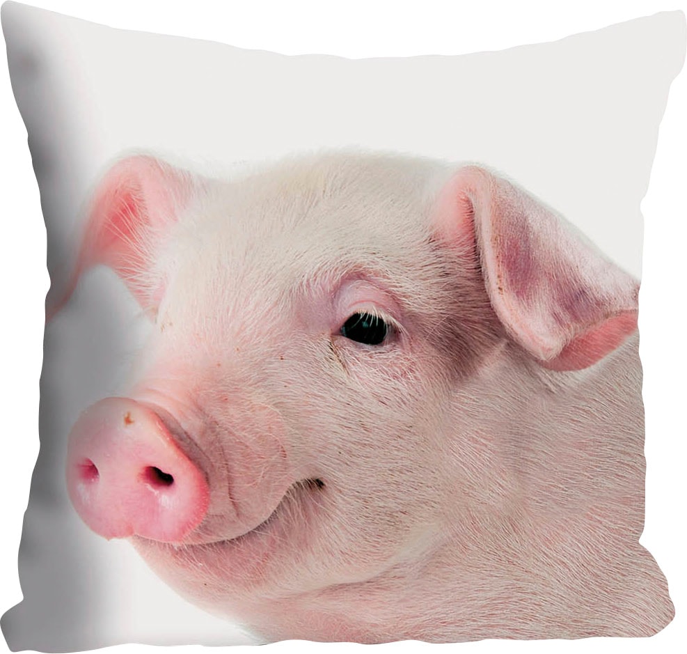 queence Dekokissen »Rebecca« Kissenhülle,süsses Schweinchen,Rosa,Niedlich,Tiermotiv,Lustig