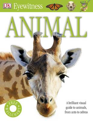 Animal: DK Eyewitness - Eyewitness (Paperback)