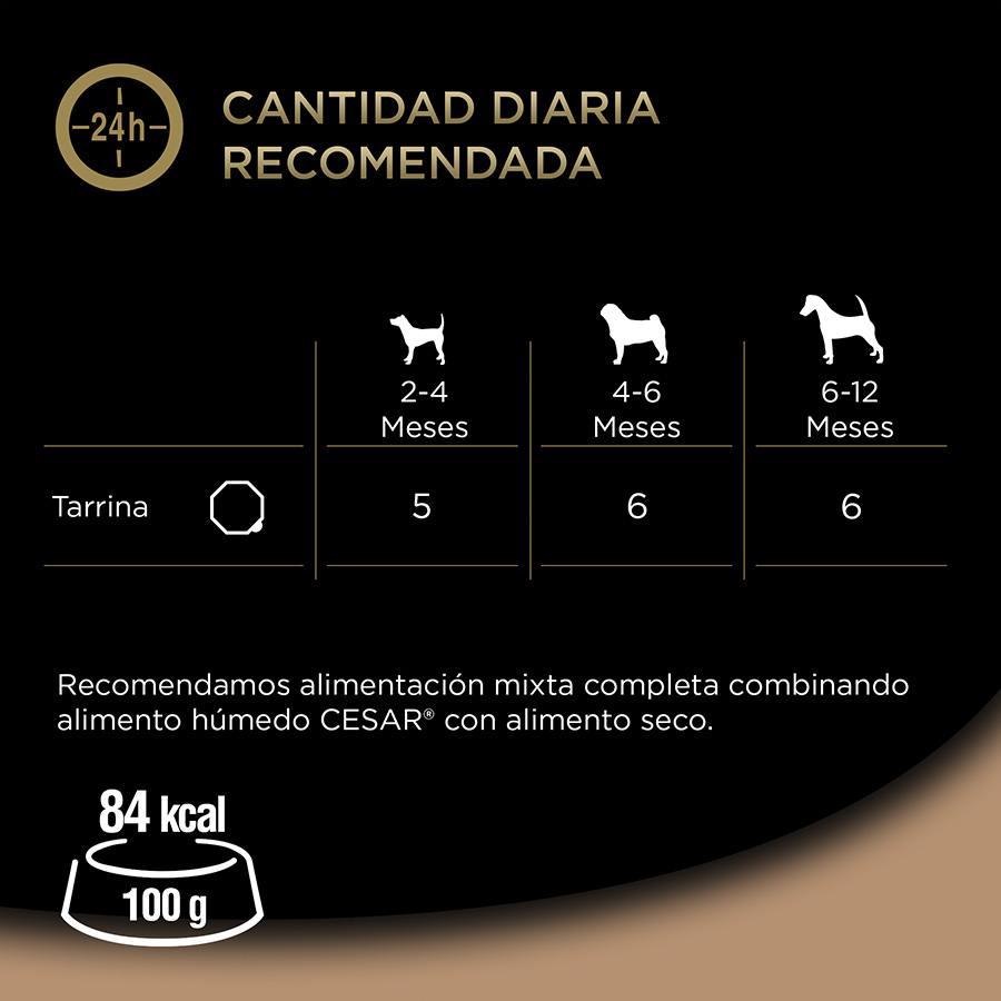 Pote de gelatina de peru e carne bovina Cesar para filhotes