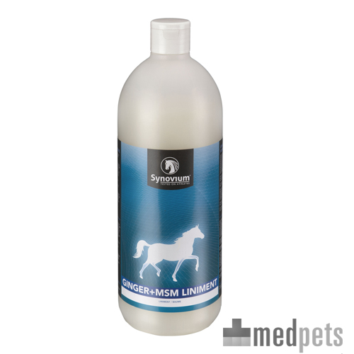 Synovium Ginger MSM Liniment