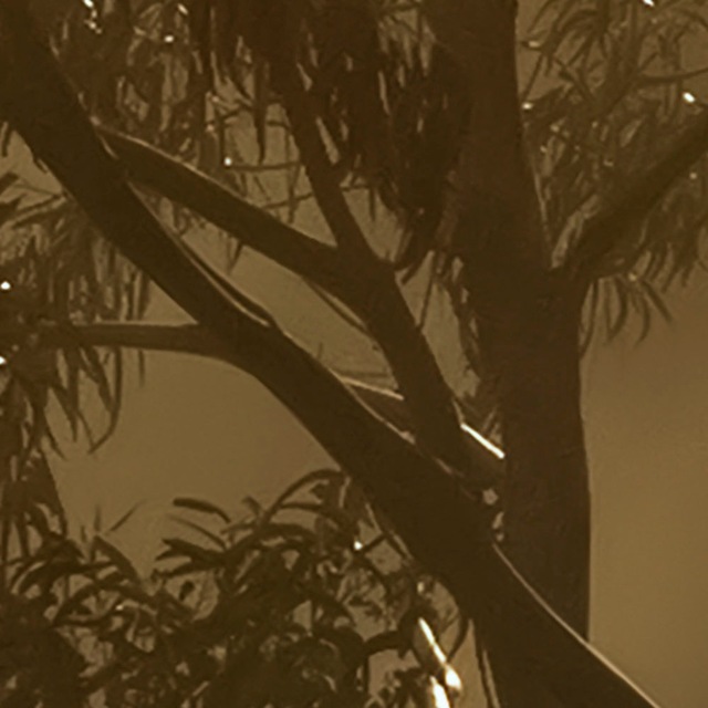 Komar Fototapete »Digitaldruck Vlies -  Foggy Sunshine - Grösse 400 x 250 cm« bedruckt glatt Wohnzimmer, Schlafzimmer