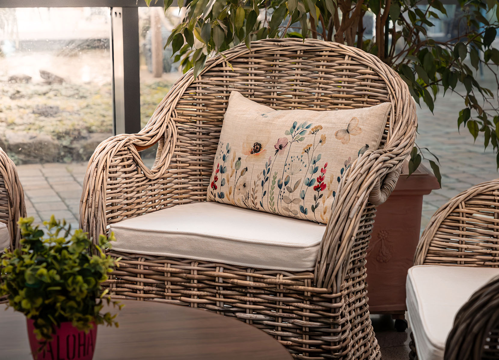 Rattansessel Athena mit Sitzkissen 4er-Set Natural-Grey