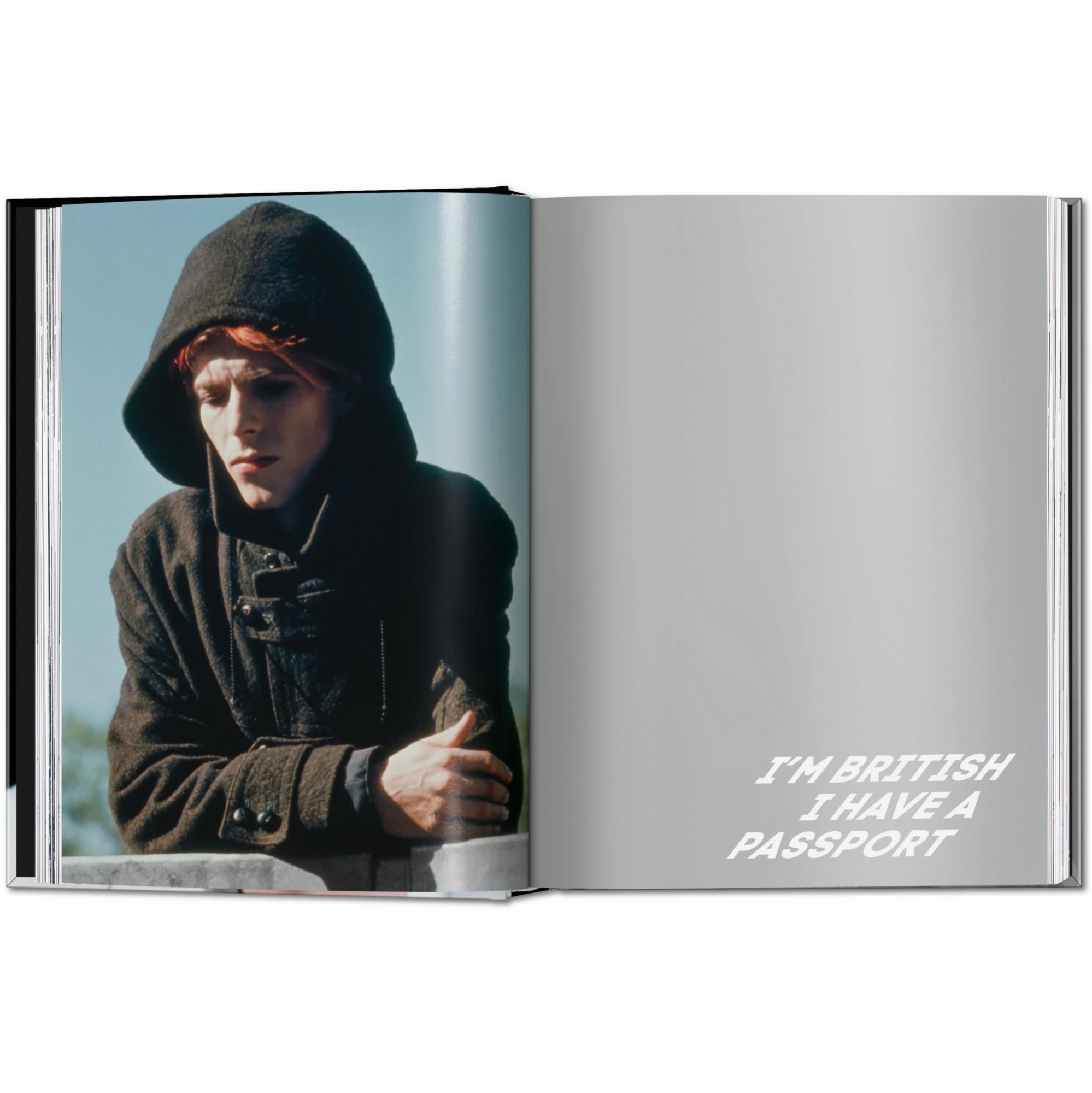 David Bowie. The man who fell to earth