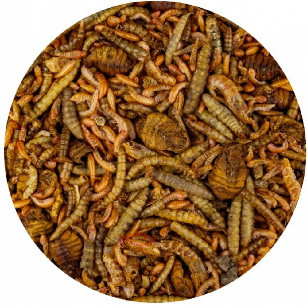 Nature koi treats mix 5 litres/1000g