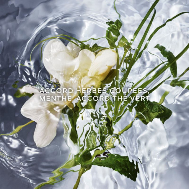 Aqua Allegoria Herba Fresca GUERLAIN