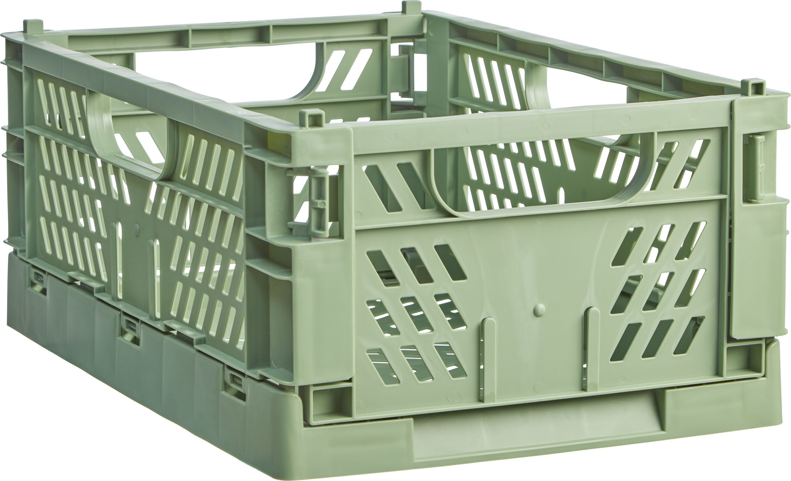 FELIX XL Klappbox - Grün / B: 50.3 cm x T: 33.2 cm x H: 5.7 cm