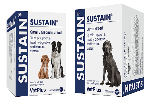 Vetplus Sustain Probiotica Hond | 30 zakjes - Kleine/middelgrote hond  | 11003
