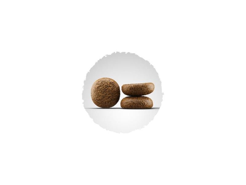 Josera Trockenfutter Active Nature, 12.5 kg Alleinfuttermittel für ausgewachsene Hunde