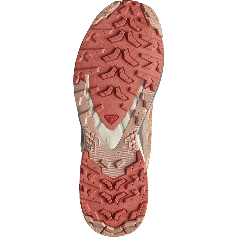 Salomon XA Pro 3D V9 Schuhe