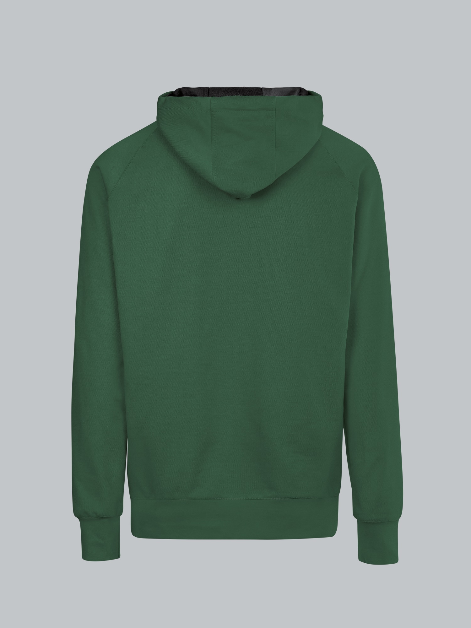 Kapuzensweatshirt aus Biobaumwolle Efeu