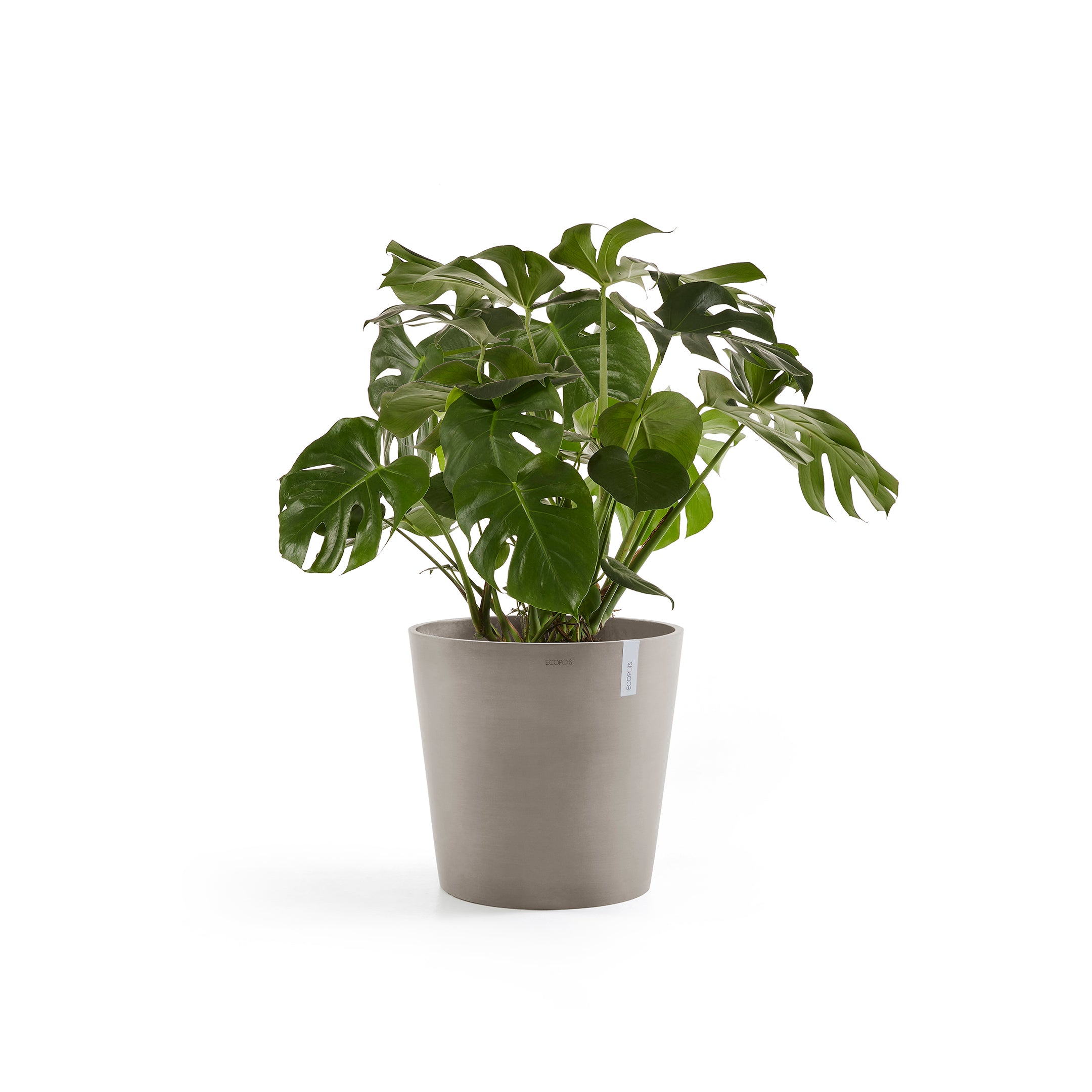 Ecopots Amsterdam Bloempot Ã 60 cm - Taupe
