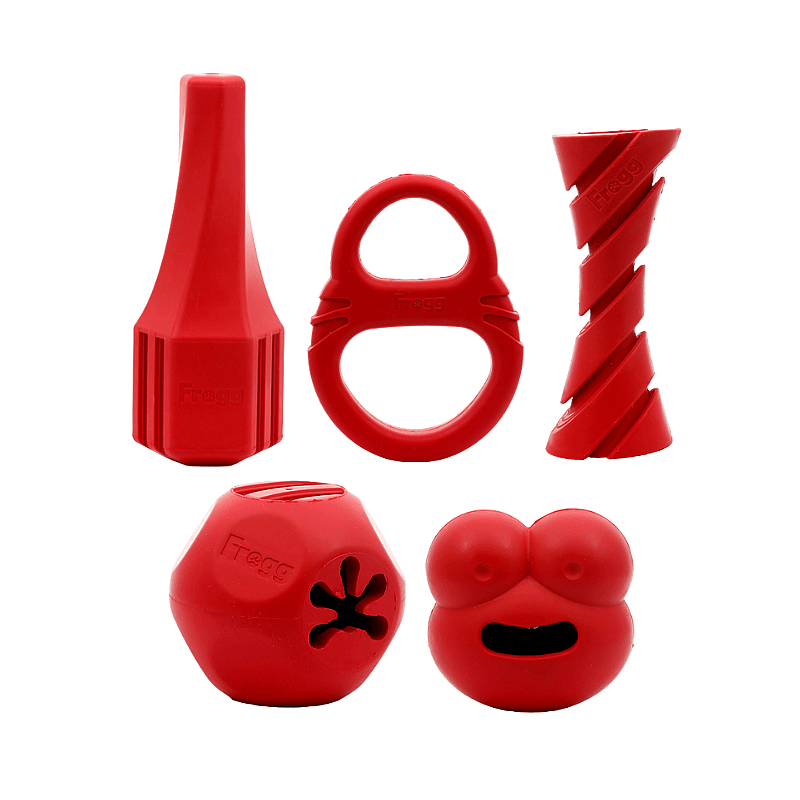 Frogg Toys Rubber Speeltjes Hond | Robert de Frogg | 12694