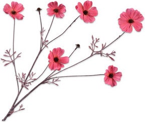 Silk-Ka kunstbloem Cosmea roze 30 cm