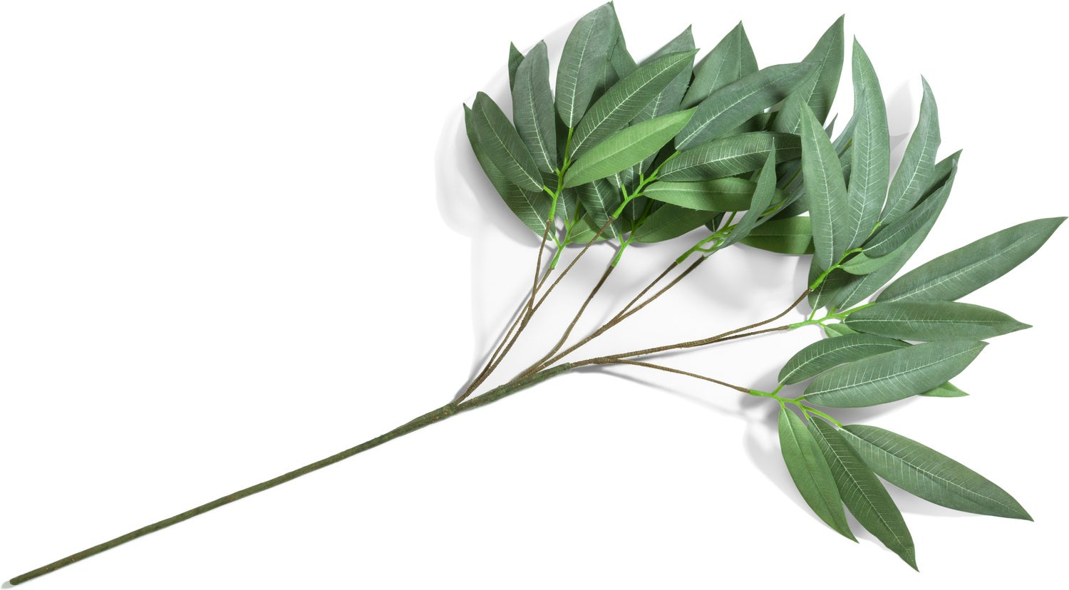 Coco Maison kunsttak Eucalyptus groen 40 x 1 x 95 cm