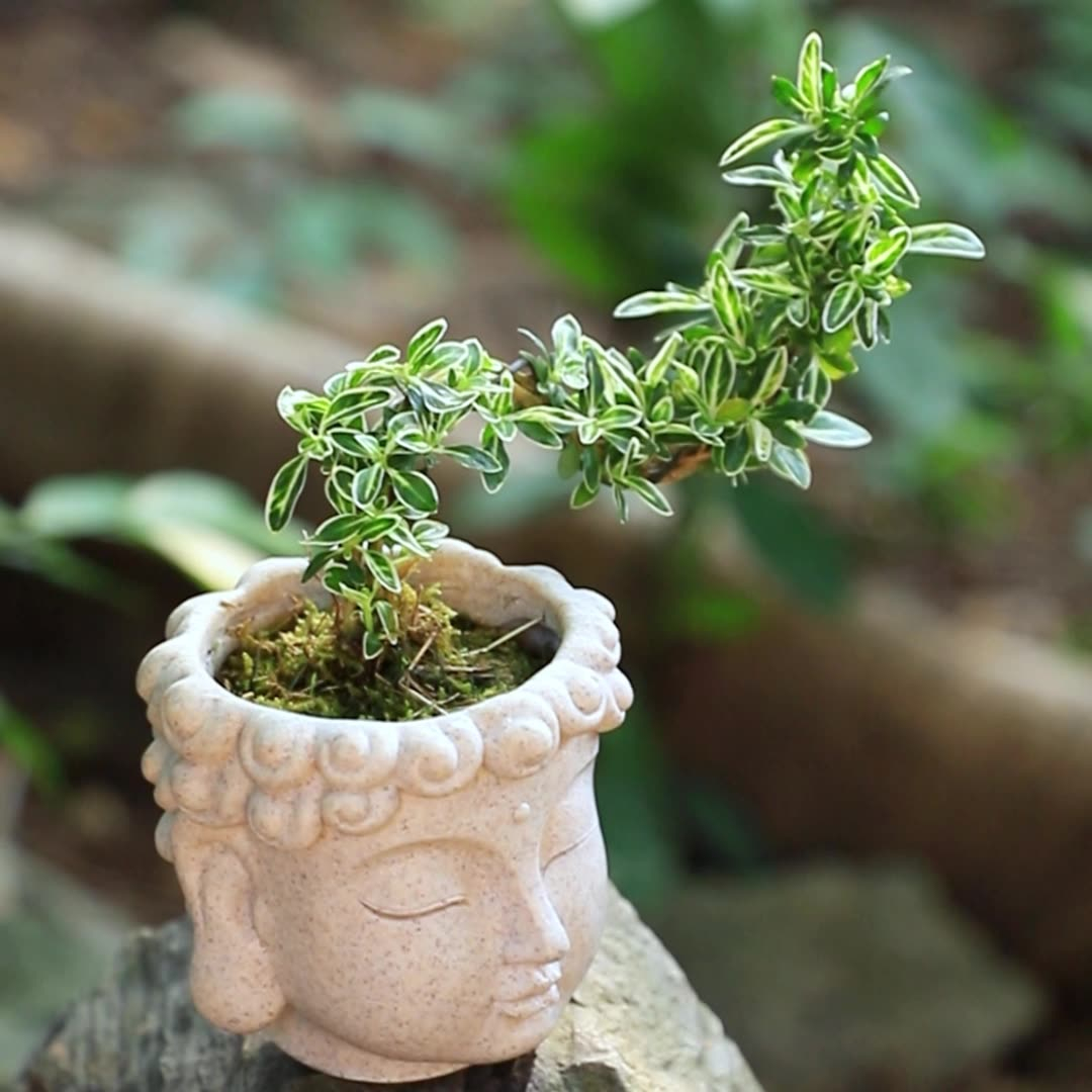 (10x9cm) Mini Blumentopf Pflanzen Vase Home Deko Übertopf - Buddha Kopf