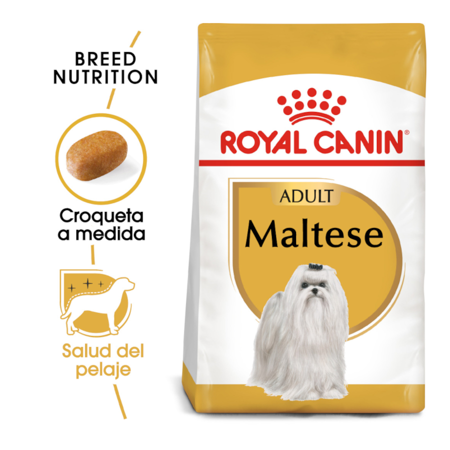Ração Royal Canin Adult Bichon Maltese para cães