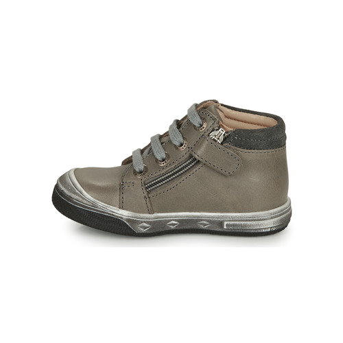 GBB - OLINOU - Gris / Ocre