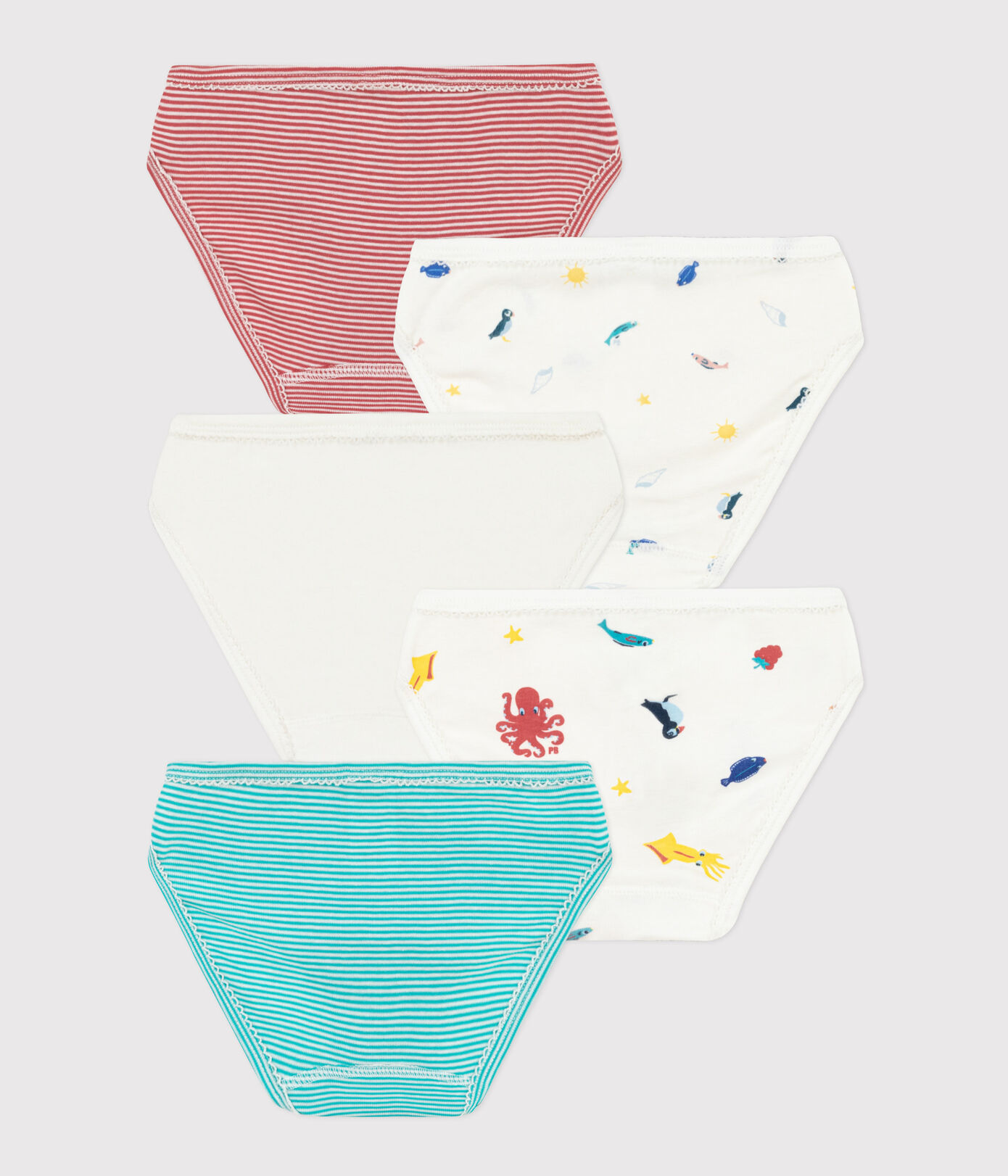 Lot de 5 culottes en coton petite fille