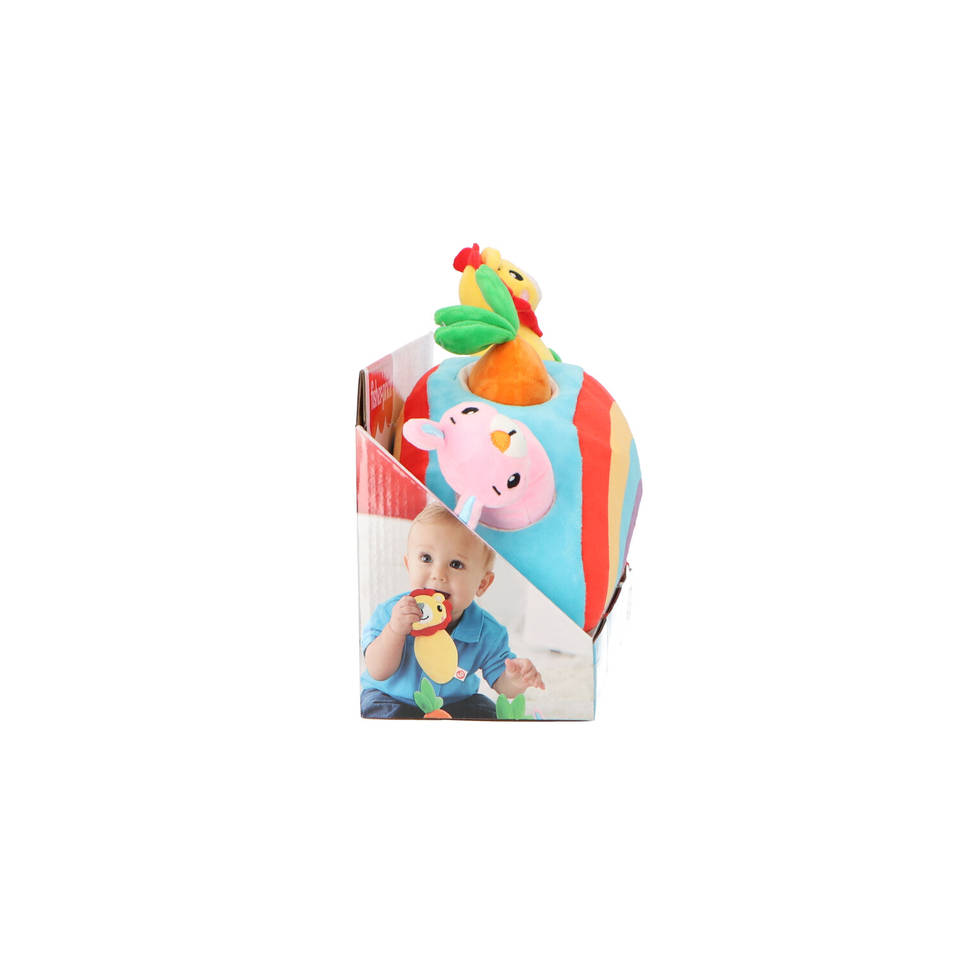 Fisher-Price pluchen regenboog vormenstoof