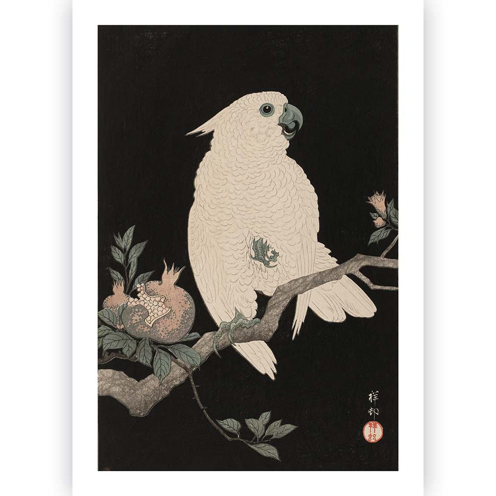 Poster Ohara Koson - Cockatoo Pomegranate  30x45 cm