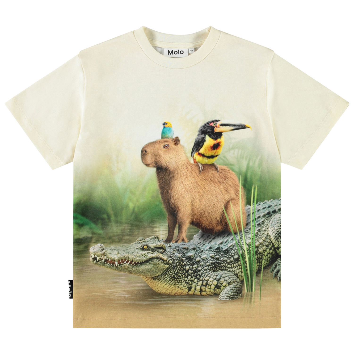 Rubin - Capybara Chill