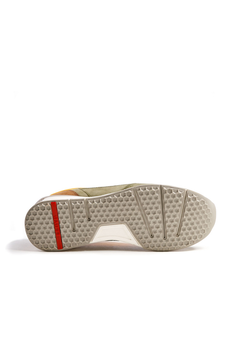 ELOY Multicolor