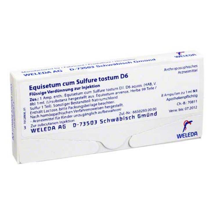 Equisetum cum Sulfure tostum D 6 Ampullen, 8X1 ml