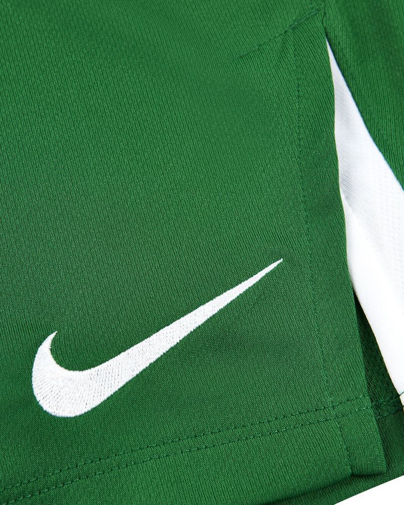 Short de volley Nike Team Spike Vert pour homme