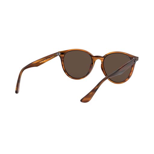 Ray Ban RB4305 Solbriller, Brun