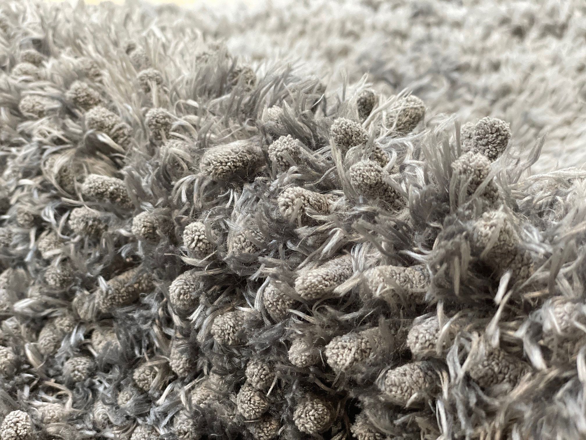 Royal Dry Droogloop deurmat Hond
