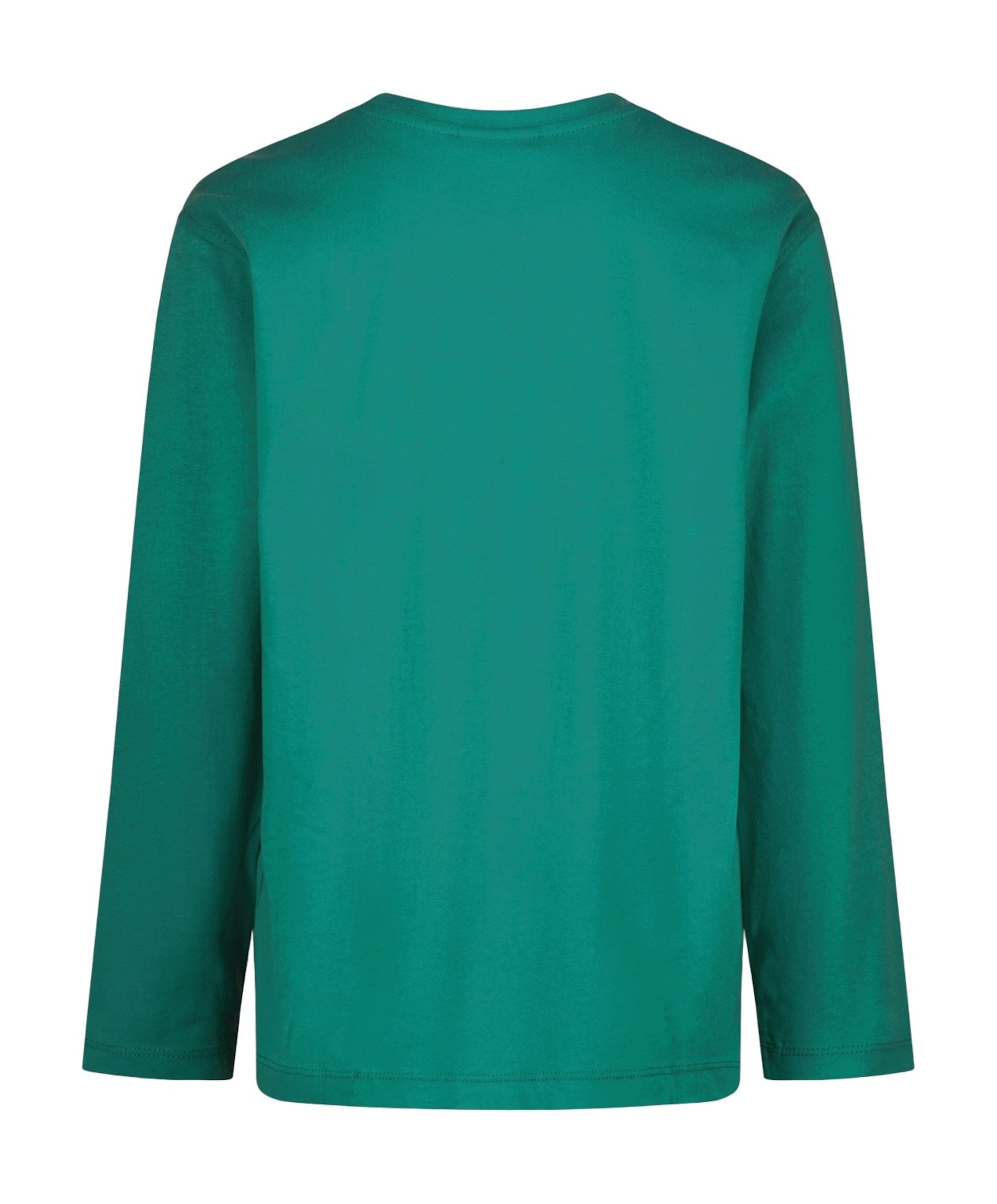 Vingino Jongens longsleeve groen