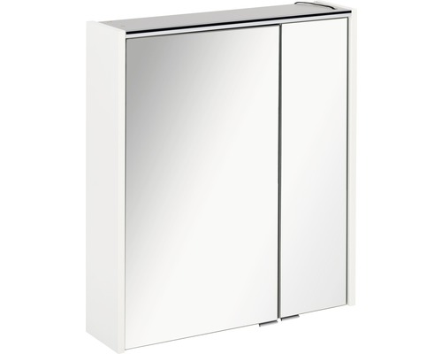 FACKELMANN Denver spiegelkast, 60 x 16 x 68,5 cm, wit, 2-deurs, LED, IP20