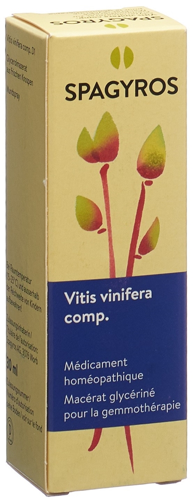 Spagyros Vitis vinifera Glyc Maz 1 D Spr 30 ml