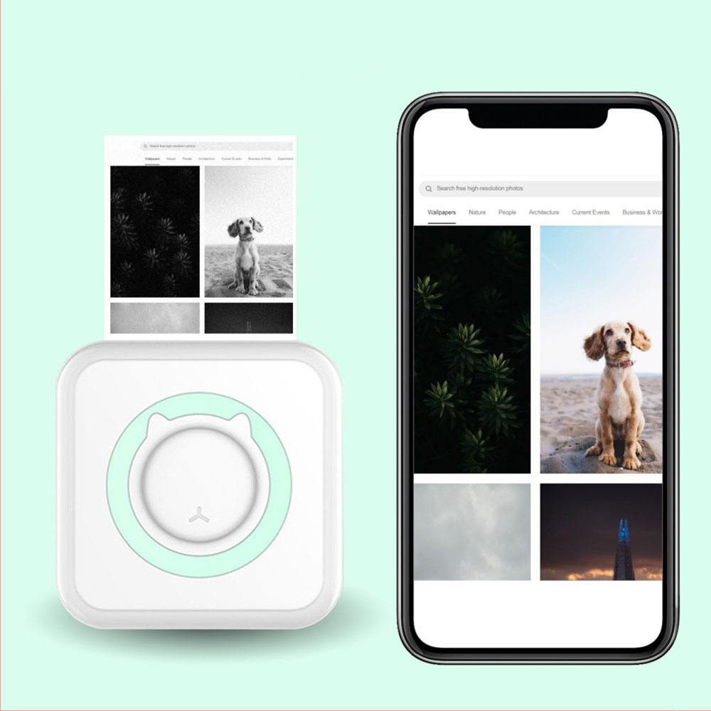 Tragbarer Sofortbild Smartphone Drucker für iOS/Android - Weiss/Türkis