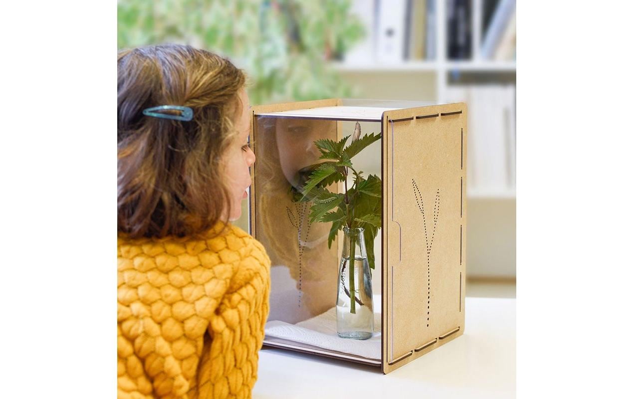 Insektenhotel RaupenkastenAufzucht-Box
