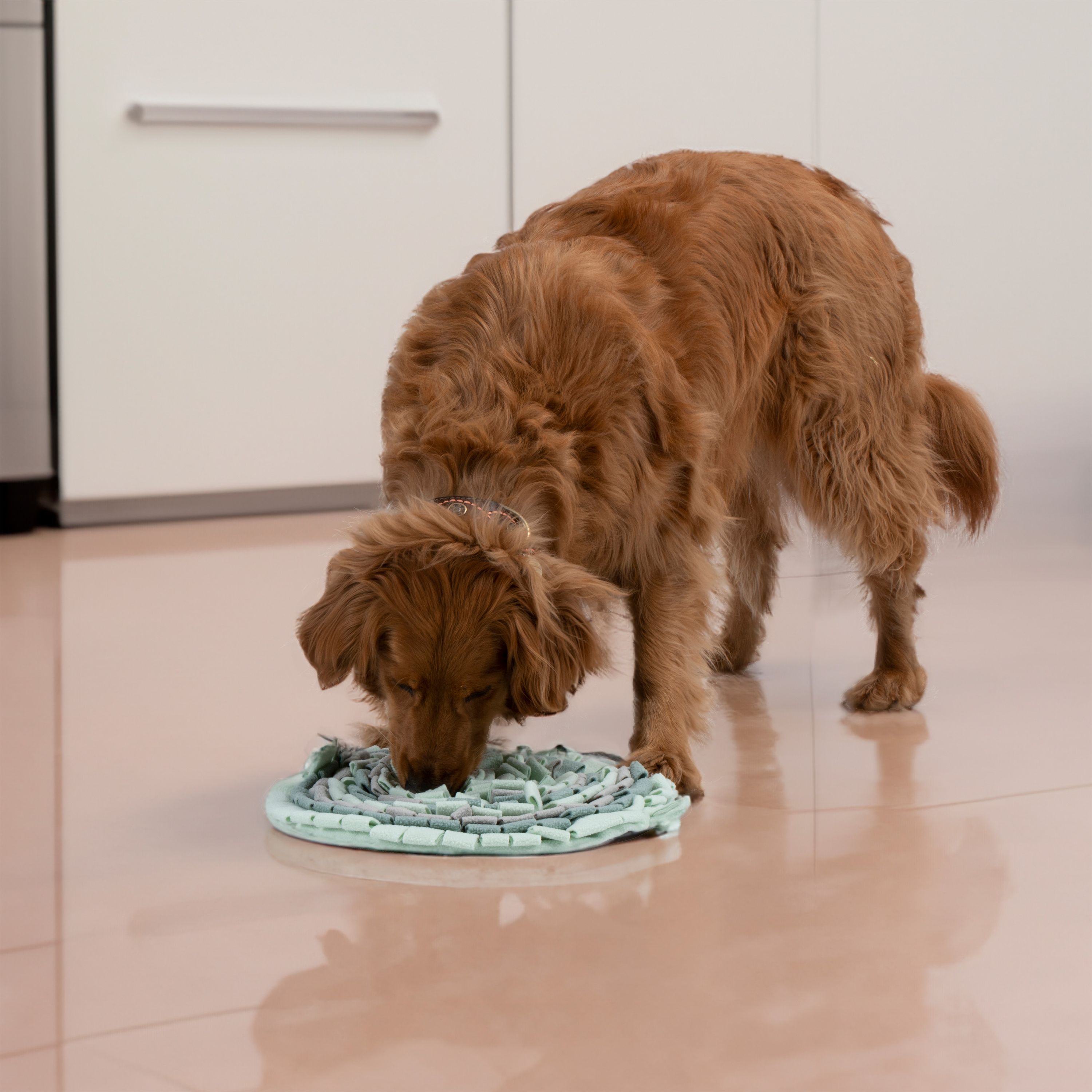 Schnüffelteppich Hundespielzeug 40 cm