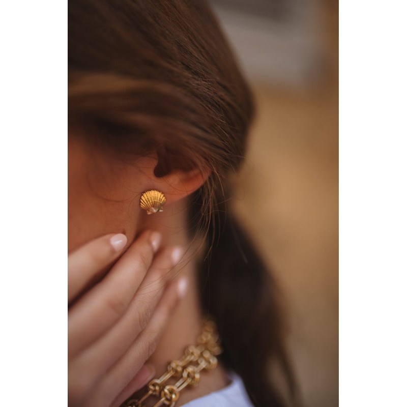 boucles d'oreilles puces coquillages doré à l'or fin  - NÉRÉE