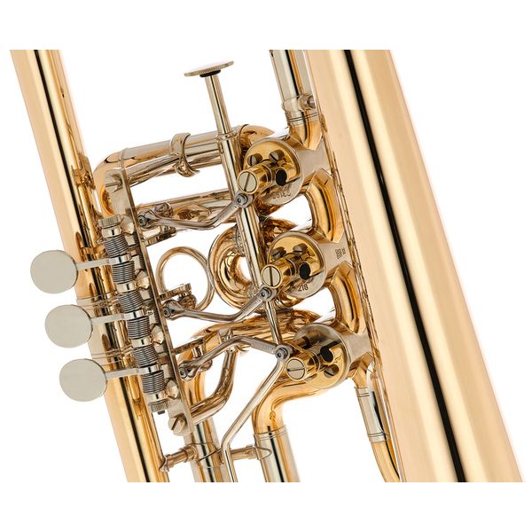 Gerd Dowids BZ-Series GL91 raw
