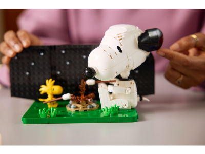 LEGO Peanuts: Snoopy's hondenhok (21368)