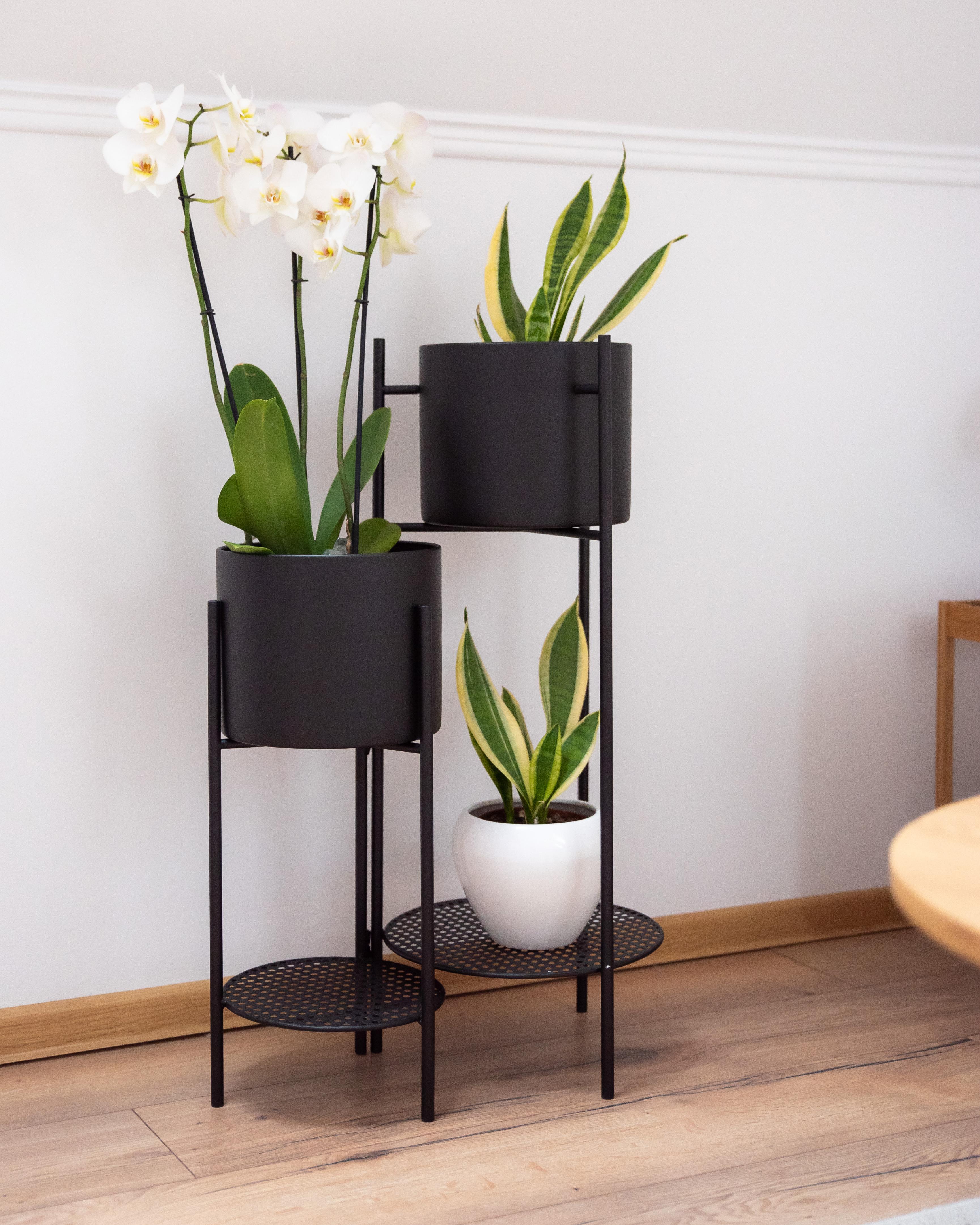 Plantenstandaard ULMUS Metaal 58 cm Zwart