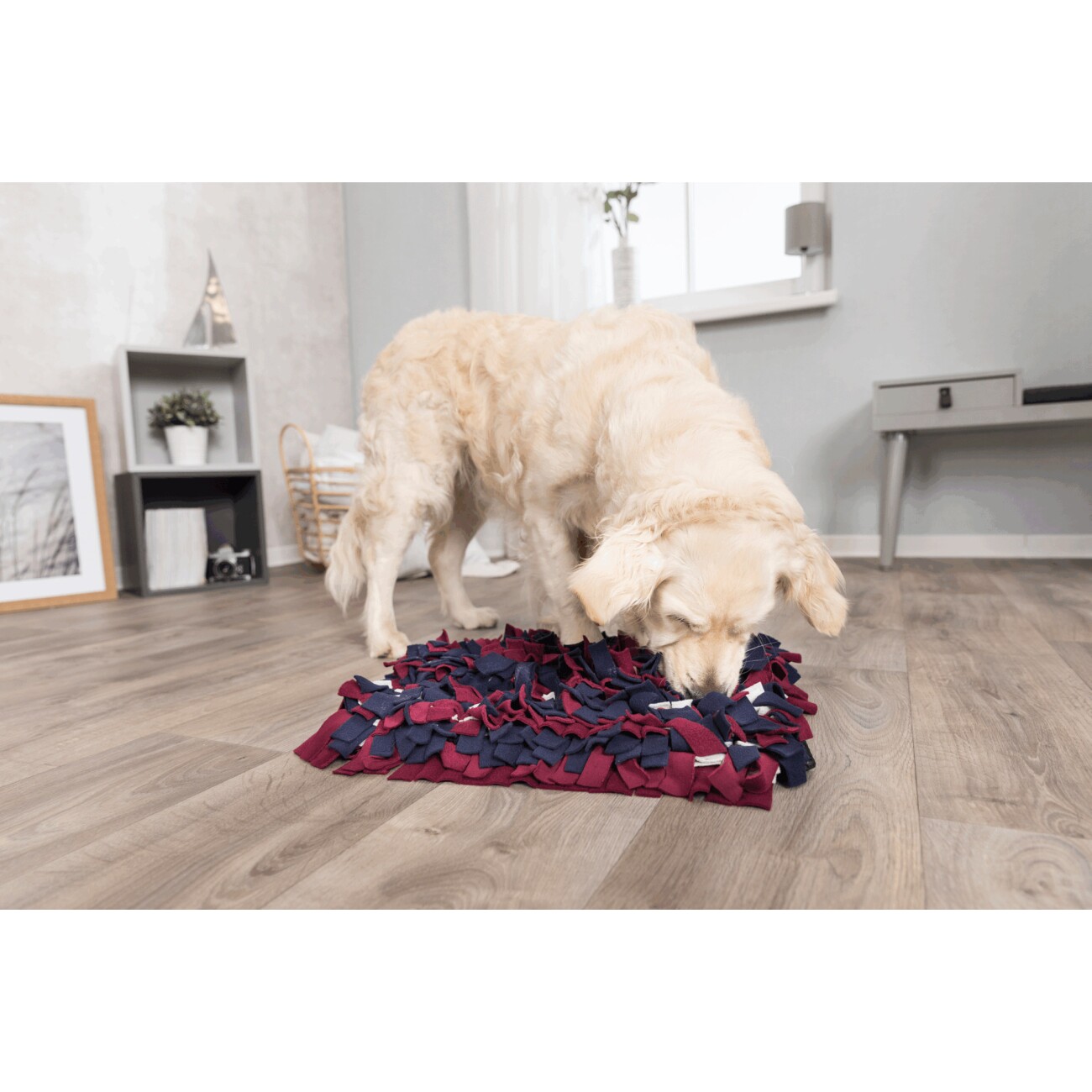 Trixie Dog Activity Strategie-Spiel Schnüffelteppich, 50×34 cm