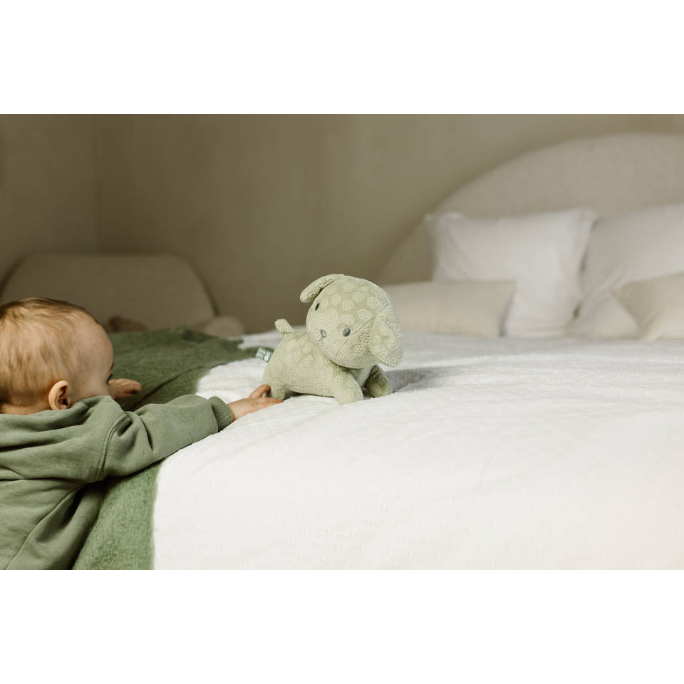 nijntje snuffie knuffel Green Flower - 25 cm