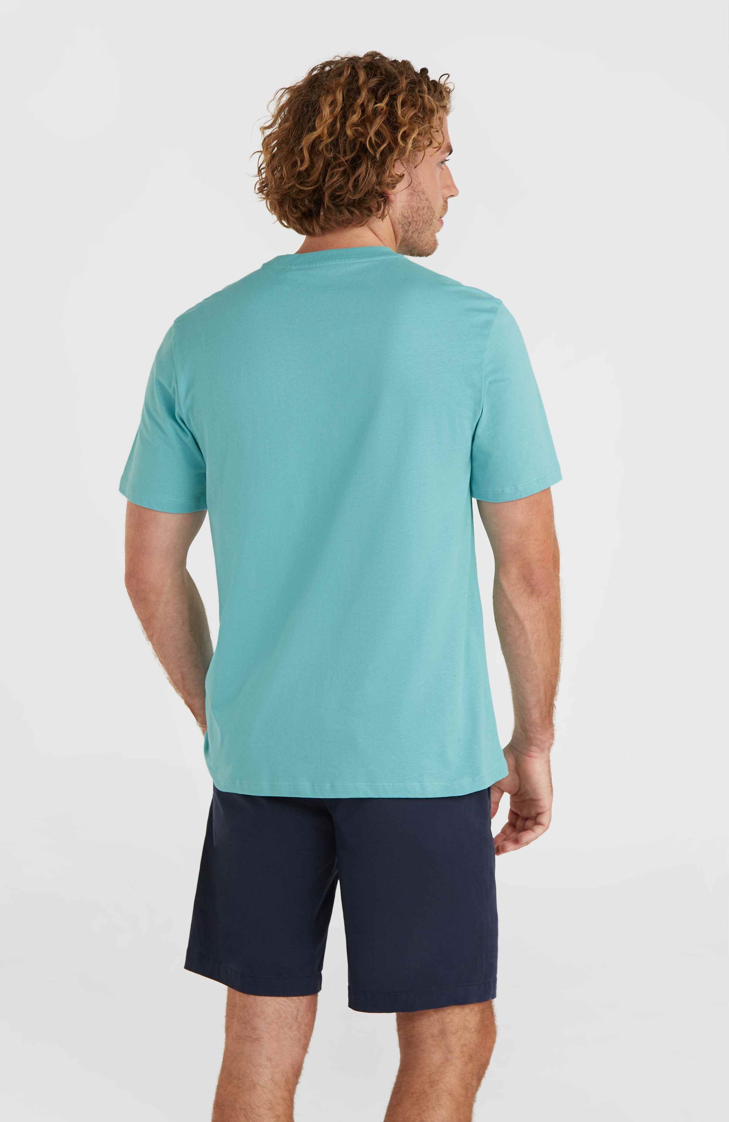 Small Logo T-shirt O`Neill Turkoois