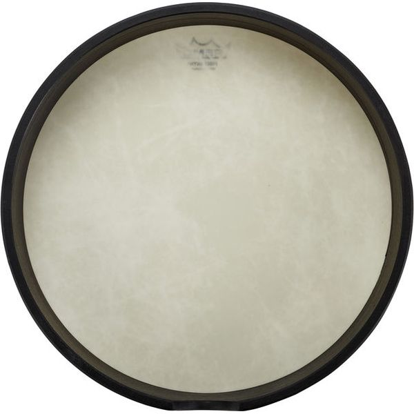 Remo 12