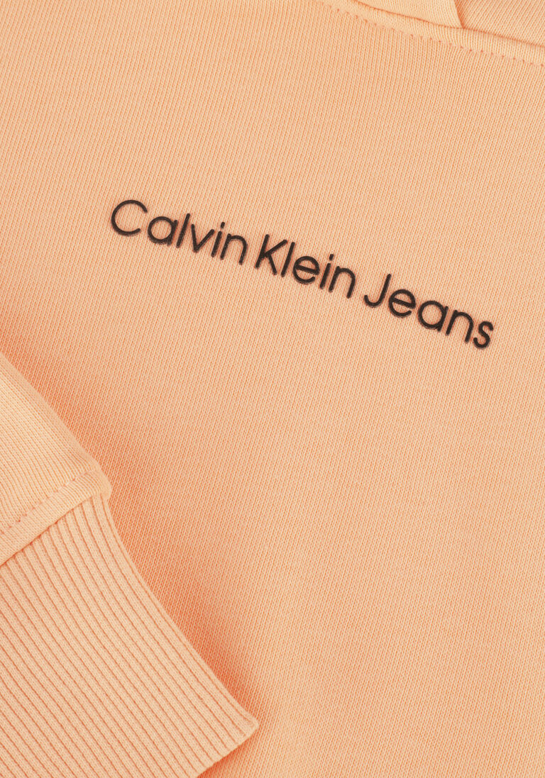 CALVIN KLEIN oranje calvin klein  logo boxy hoodie