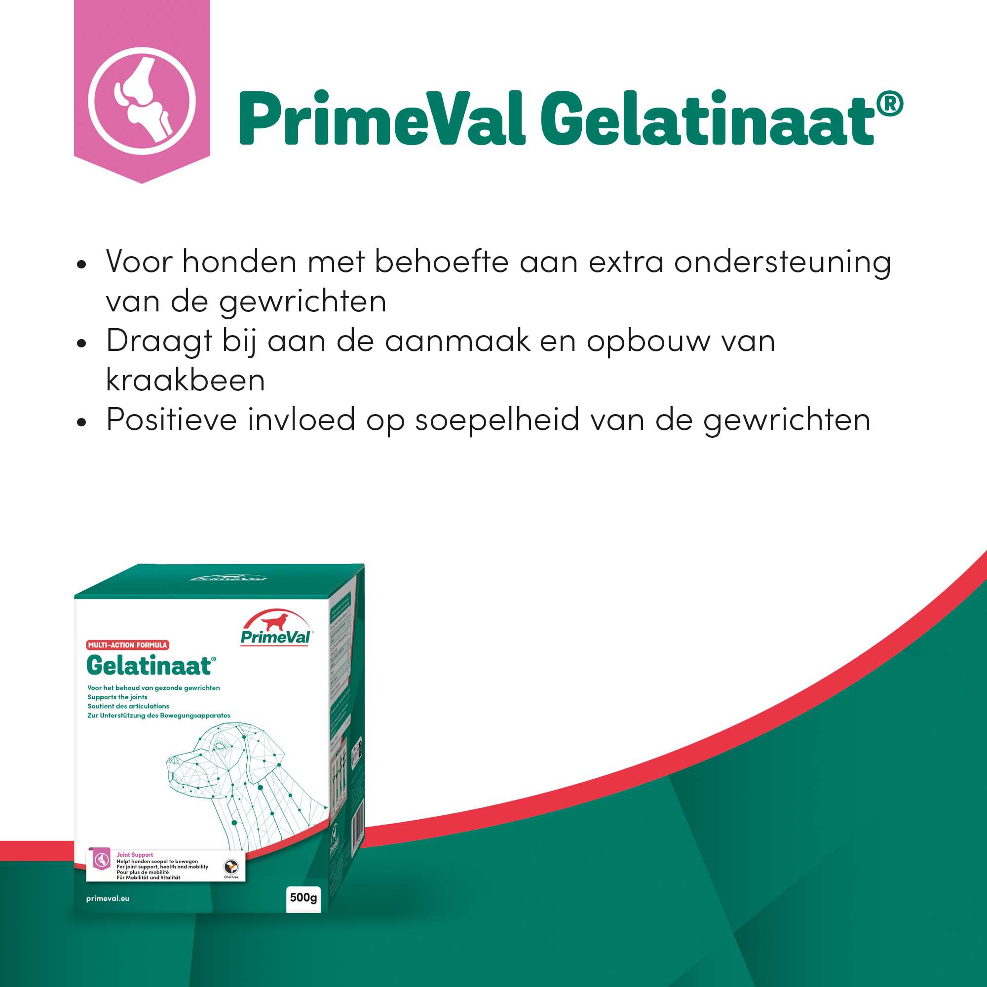 Primeval Gelatinaat - Soepele gewrichten Hond - 0.5 Kilogram