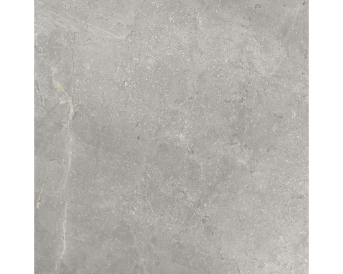 Porseleinen wand- en vloertegel Lido 59,7 x 59,7 cm zilver