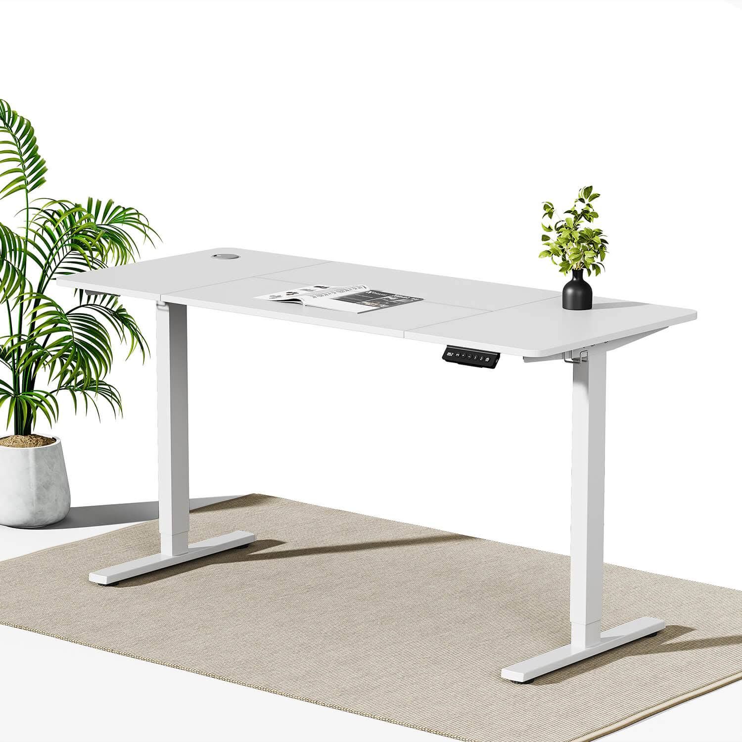 Furniwell Economy Elektrisch Höhenverstellbarer Schreibtisch