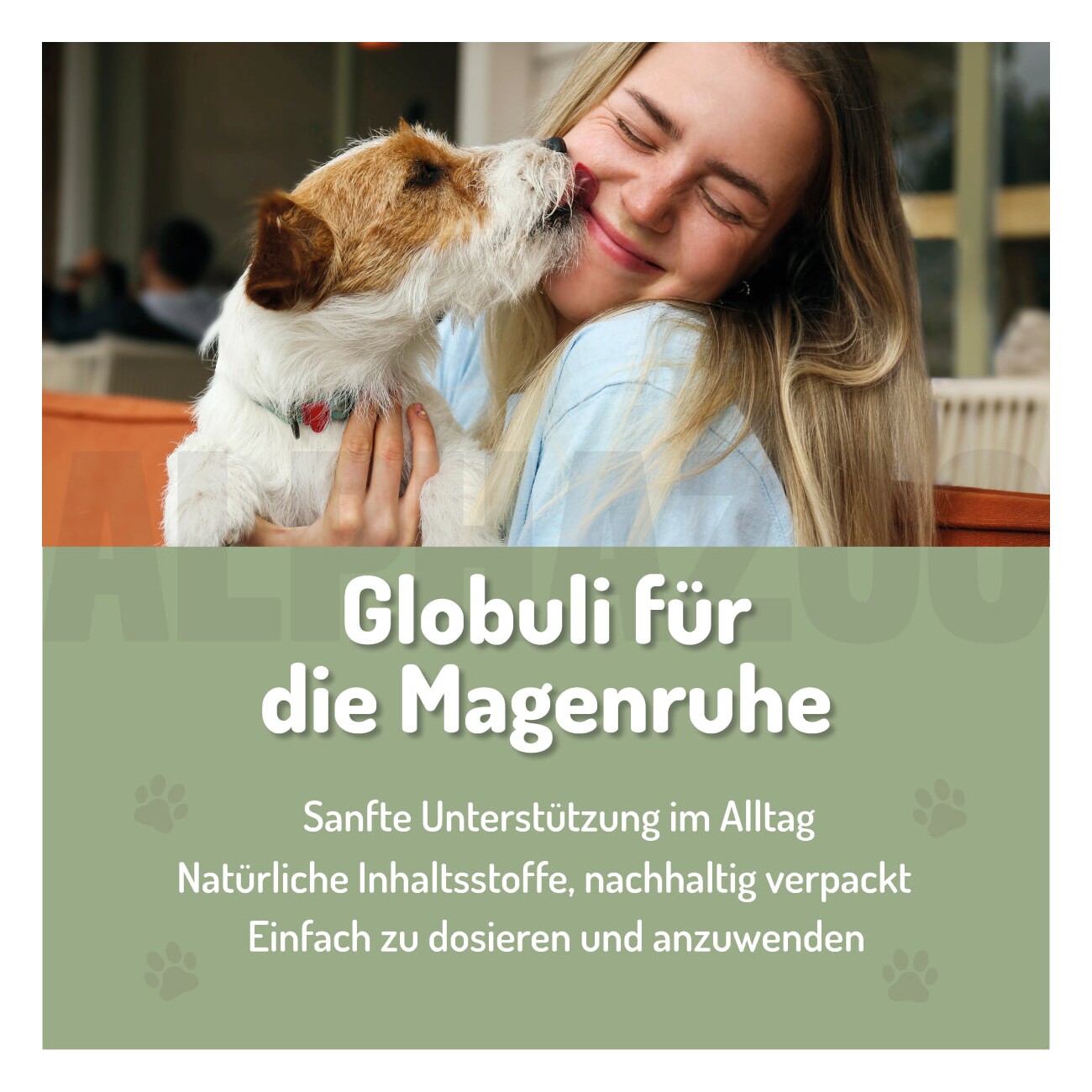 ALPHAZOO Magenruhe Bachblüten, Globuli für Hunde und Katzen
